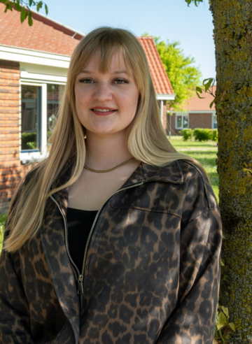 website bollen (5)
